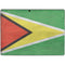 Guyana Flag Distressed Surface Pro 9 Skin